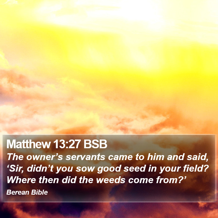 Matthew 13:27 BSB Bible Study