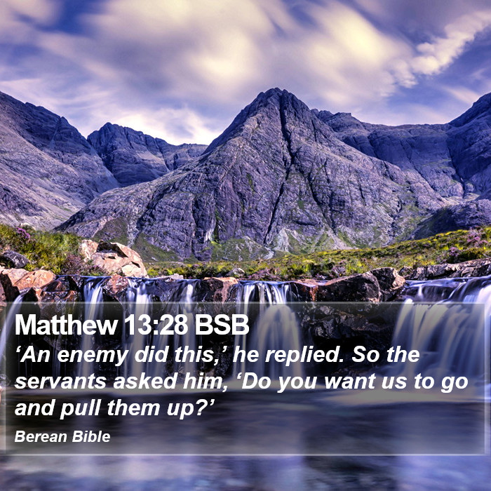 Matthew 13:28 BSB Bible Study