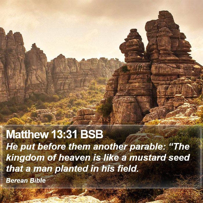 Matthew 13:31 BSB Bible Study