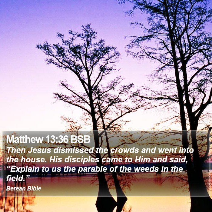 Matthew 13:36 BSB Bible Study