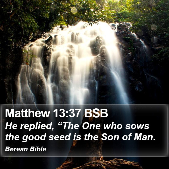 Matthew 13:37 BSB Bible Study