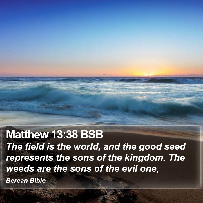 Matthew 13:38 BSB Bible Study