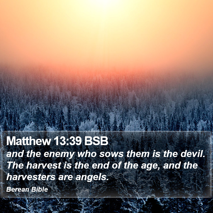 Matthew 13:39 BSB Bible Study