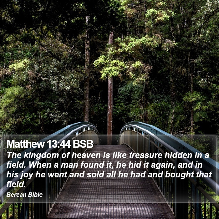 Matthew 13:44 BSB Bible Study