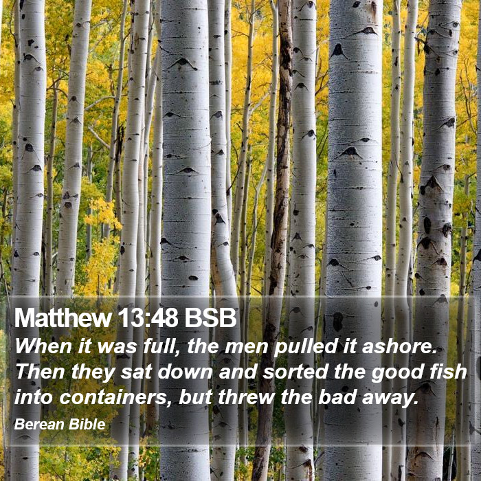 Matthew 13:48 BSB Bible Study