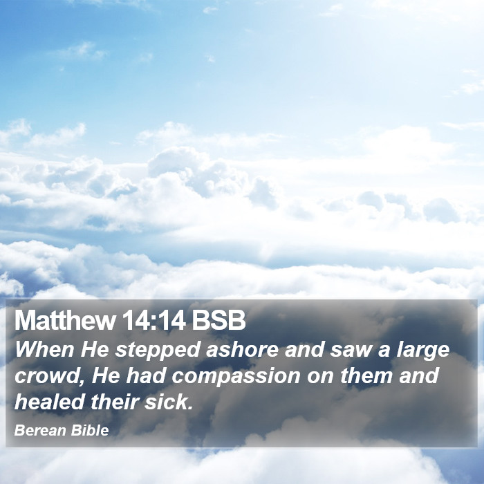 Matthew 14:14 BSB Bible Study