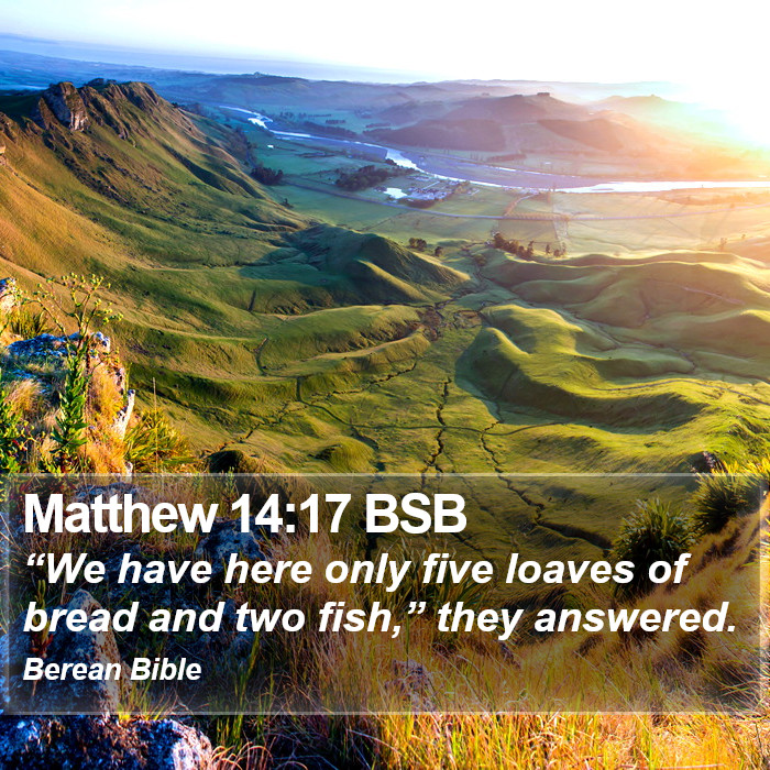 Matthew 14:17 BSB Bible Study