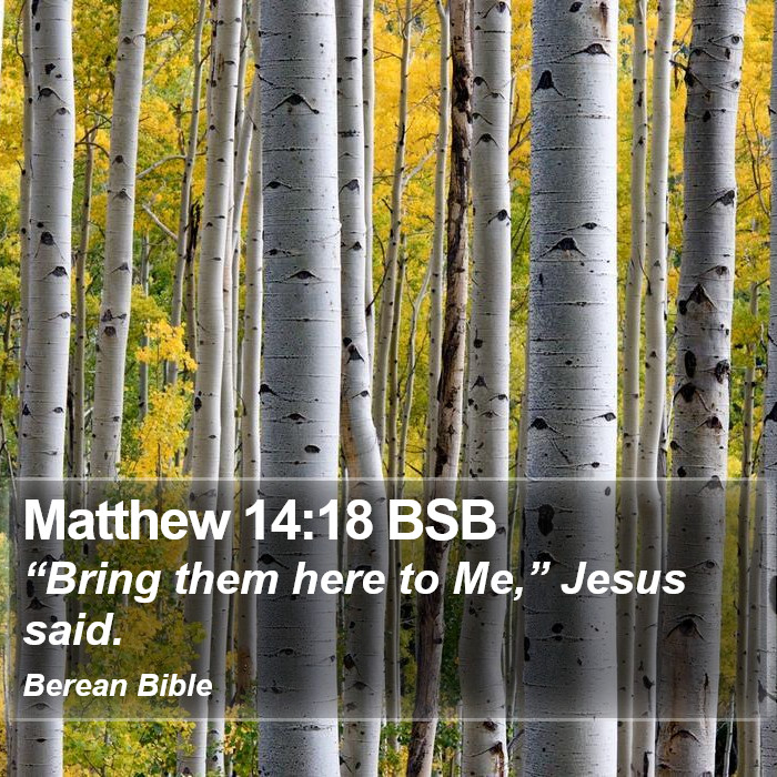 Matthew 14:18 BSB Bible Study