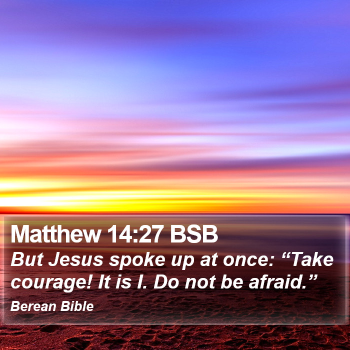 Matthew 14:27 BSB Bible Study