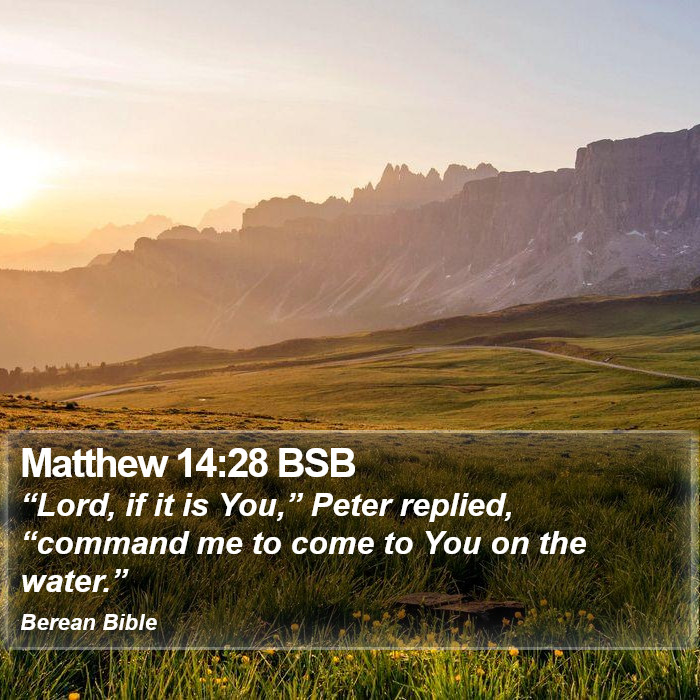 Matthew 14:28 BSB Bible Study