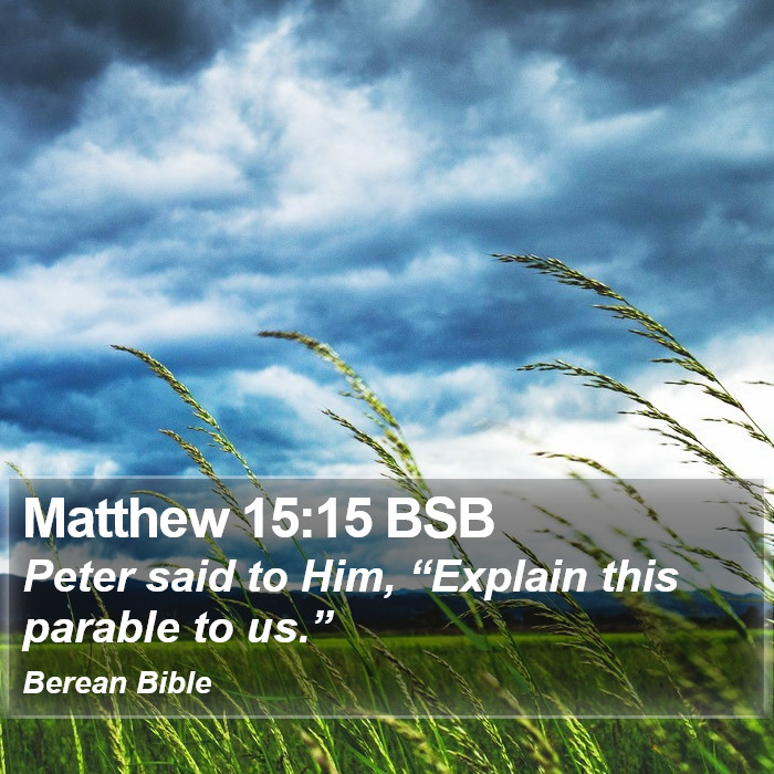 Matthew 15:15 BSB Bible Study