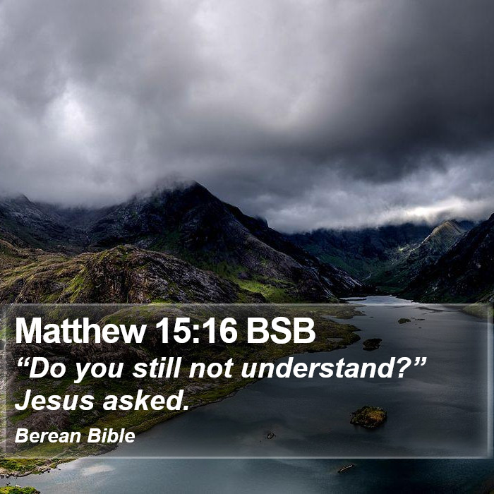 Matthew 15:16 BSB Bible Study