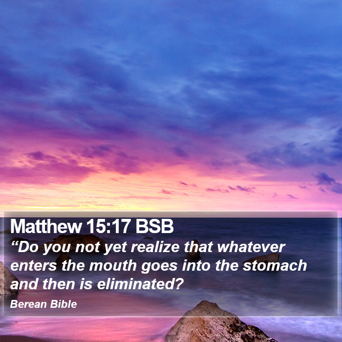 Matthew 15:17 BSB Bible Study