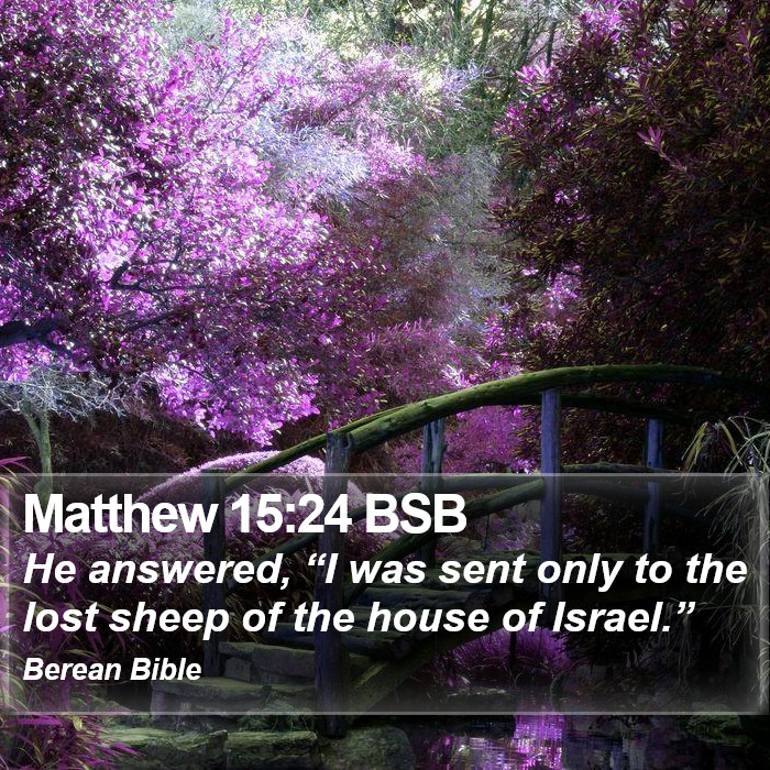 Matthew 15:24 BSB Bible Study