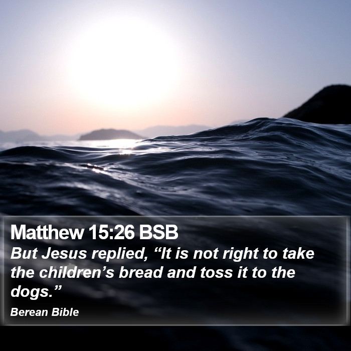 Matthew 15:26 BSB Bible Study