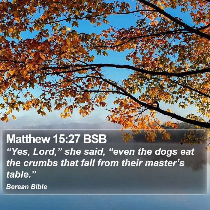 Matthew 15:27 BSB Bible Study