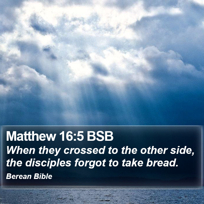 Matthew 16:5 BSB Bible Study