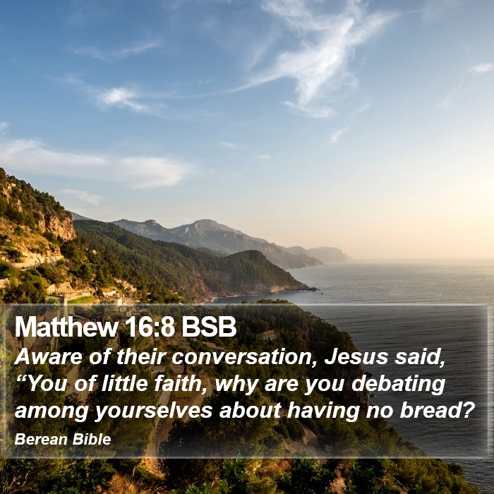 Matthew 16:8 BSB Bible Study