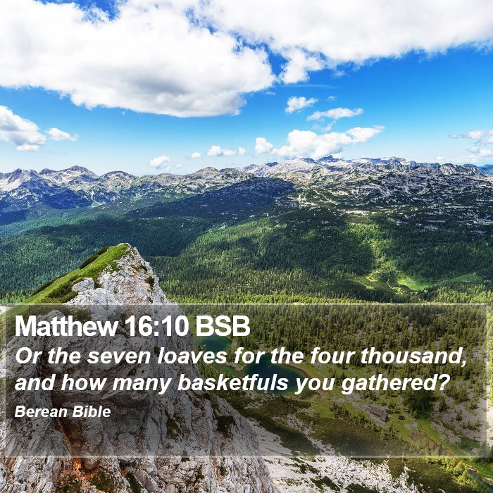 Matthew 16:10 BSB Bible Study