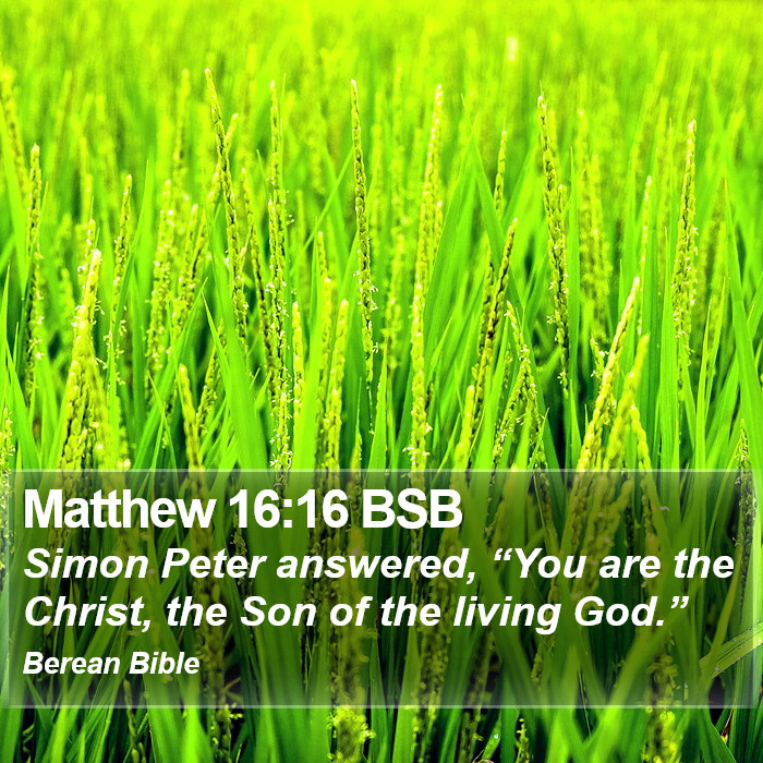 Matthew 16:16 BSB Bible Study