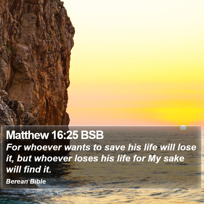 Matthew 16:25 BSB Bible Study