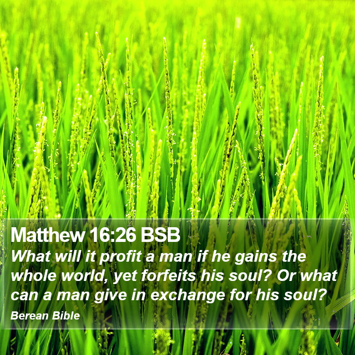 Matthew 16:26 BSB Bible Study