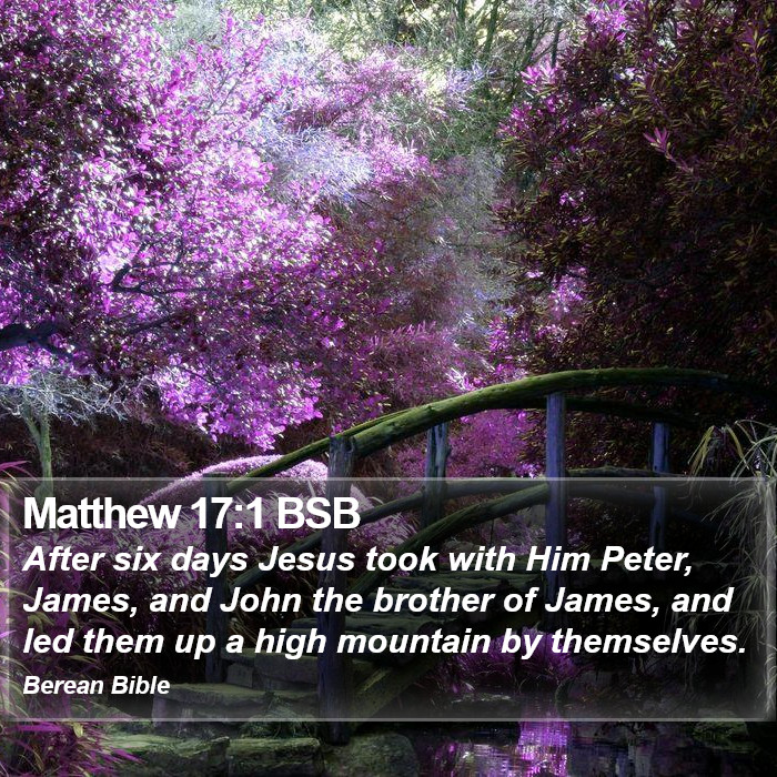 Matthew 17:1 BSB Bible Study