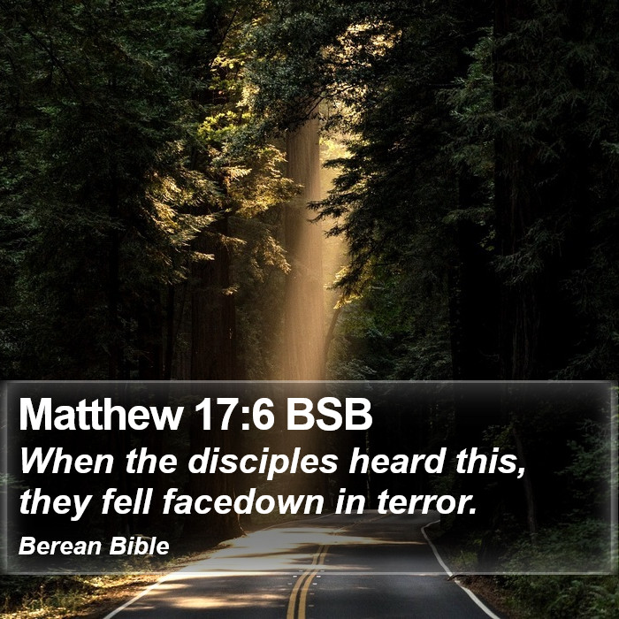 Matthew 17:6 BSB Bible Study