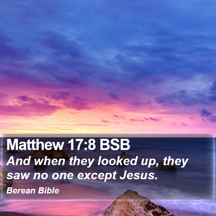 Matthew 17:8 BSB Bible Study