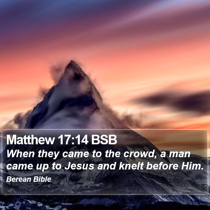 Matthew 17:14 BSB Bible Study