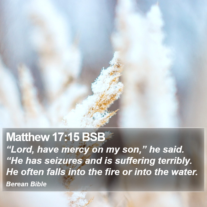 Matthew 17:15 BSB Bible Study