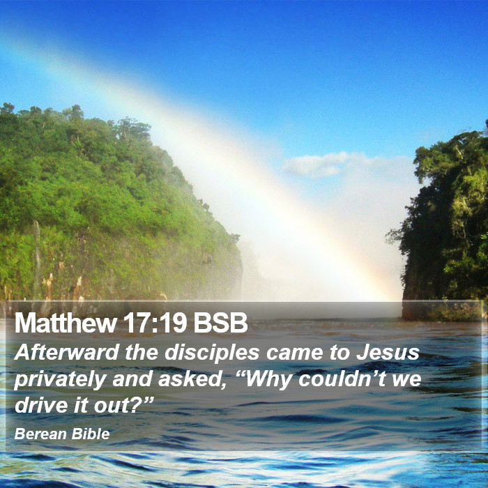 Matthew 17:19 BSB Bible Study