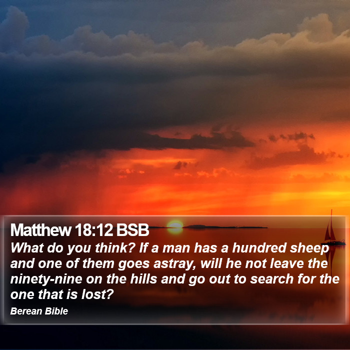 Matthew 18:12 BSB Bible Study