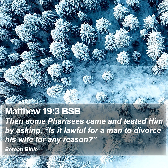 Matthew 19:3 BSB Bible Study