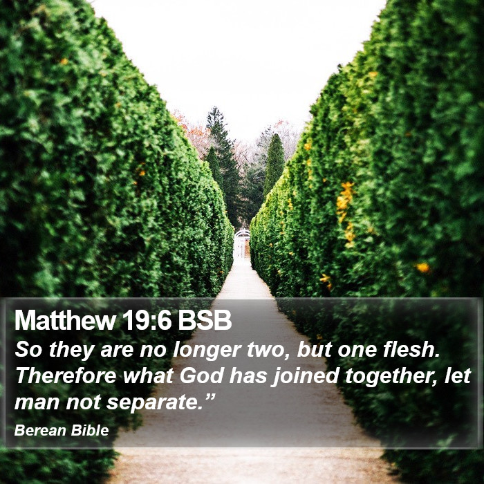 Matthew 19:6 BSB Bible Study