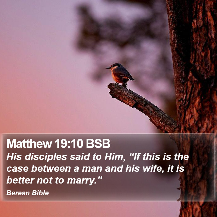 Matthew 19:10 BSB Bible Study