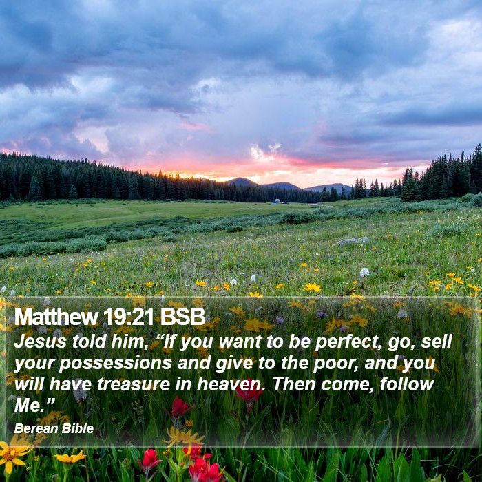 Matthew 19:21 BSB Bible Study