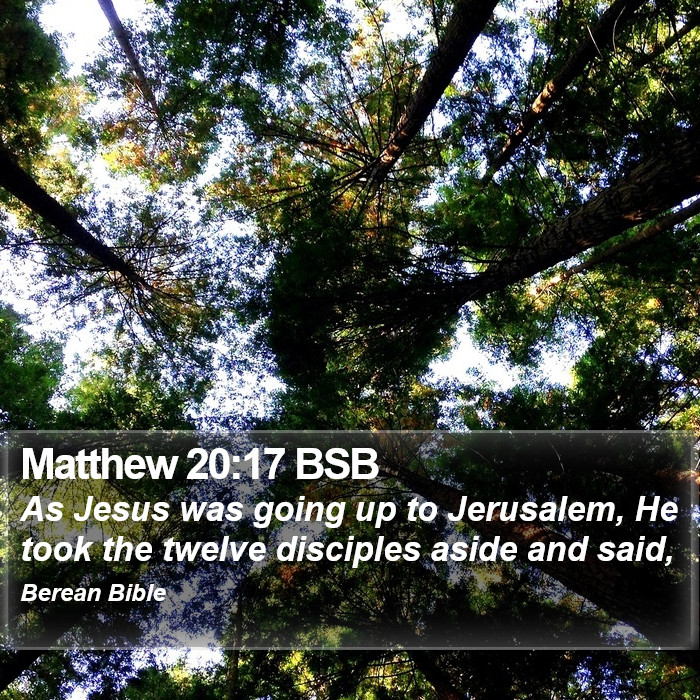 Matthew 20:17 BSB Bible Study