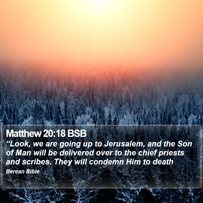 Matthew 20:18 BSB Bible Study