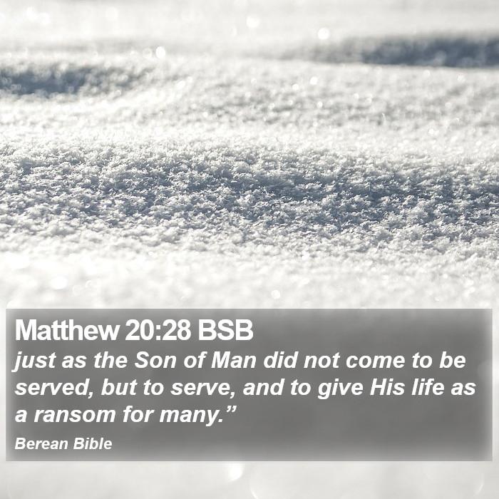 Matthew 20:28 BSB Bible Study