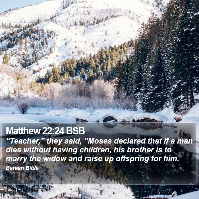 Matthew 22:24 BSB Bible Study