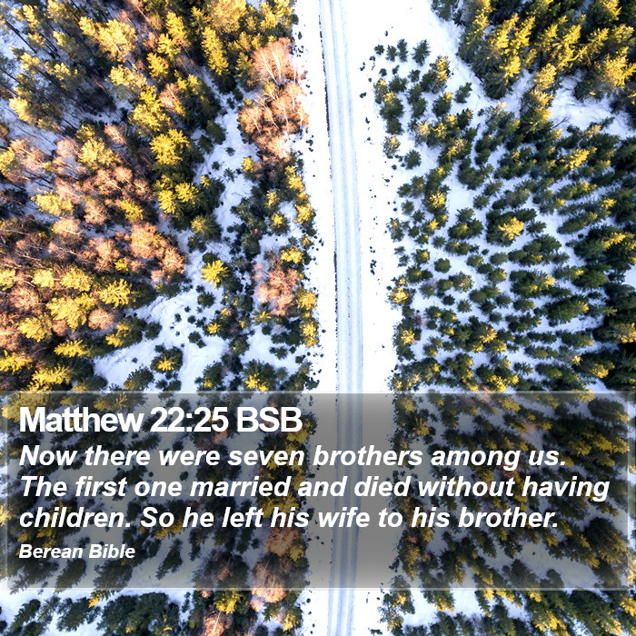 Matthew 22:25 BSB Bible Study