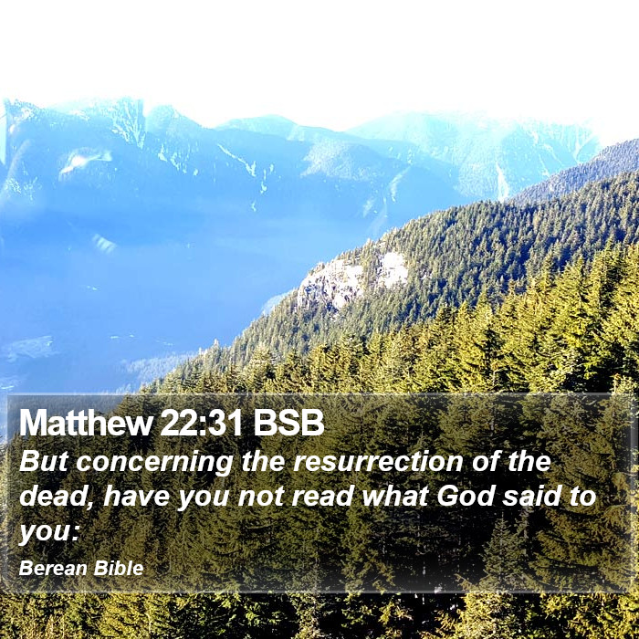 Matthew 22:31 BSB Bible Study