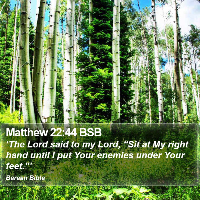 Matthew 22:44 BSB Bible Study