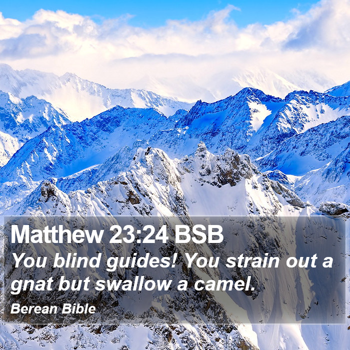 Matthew 23:24 BSB Bible Study