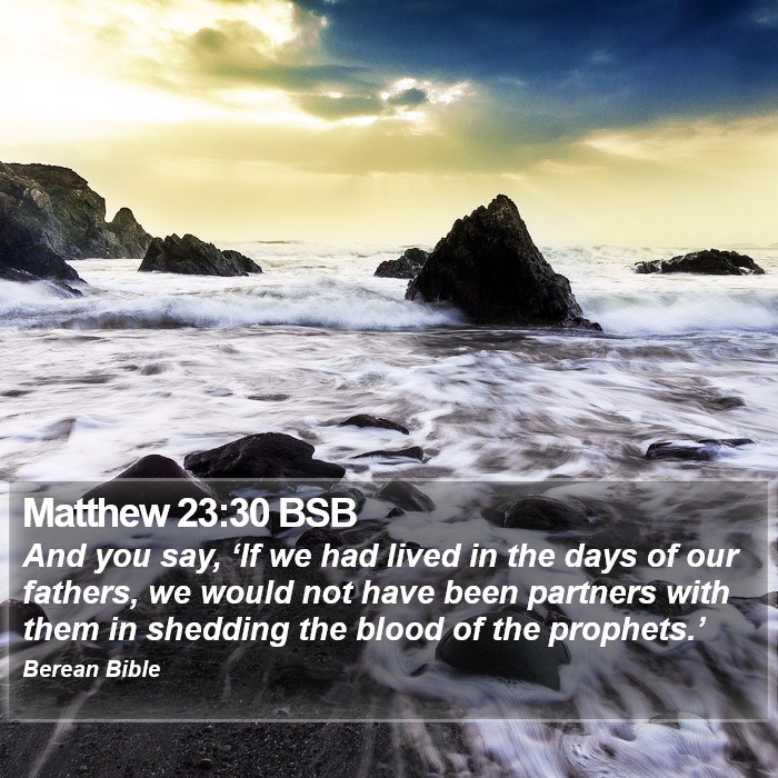 Matthew 23:30 BSB Bible Study