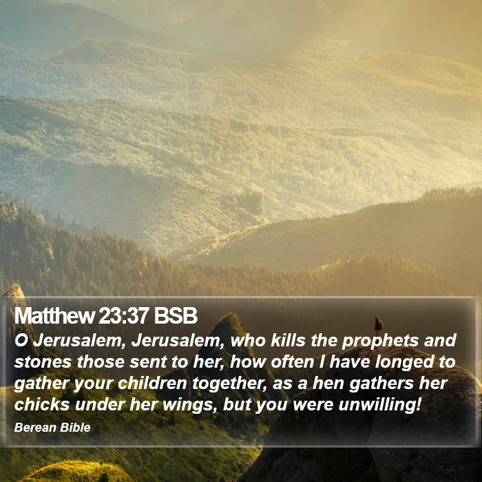 Matthew 23:37 BSB Bible Study