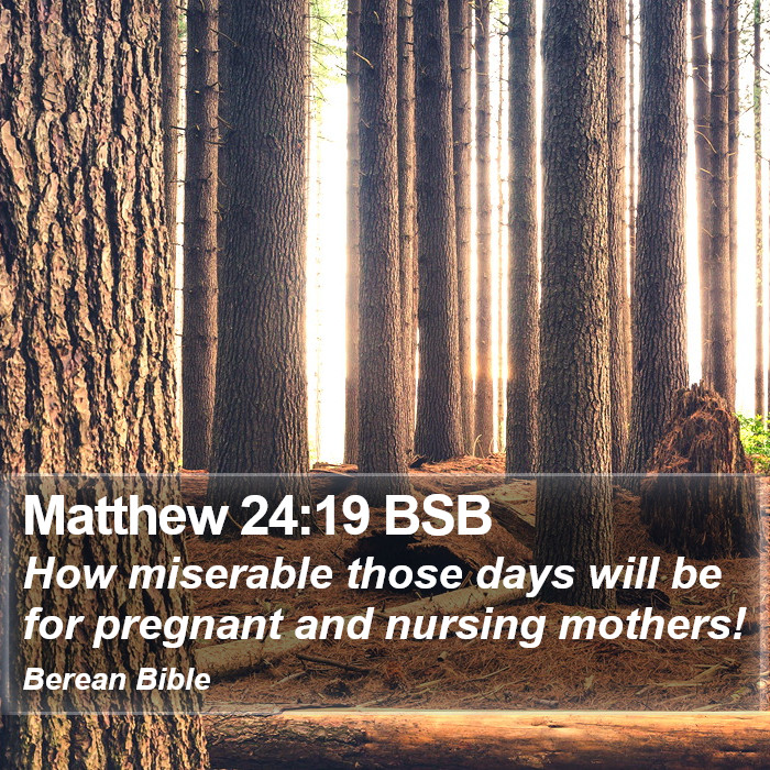 Matthew 24:19 BSB Bible Study