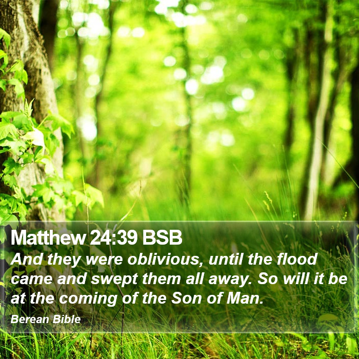 Matthew 24:39 BSB Bible Study