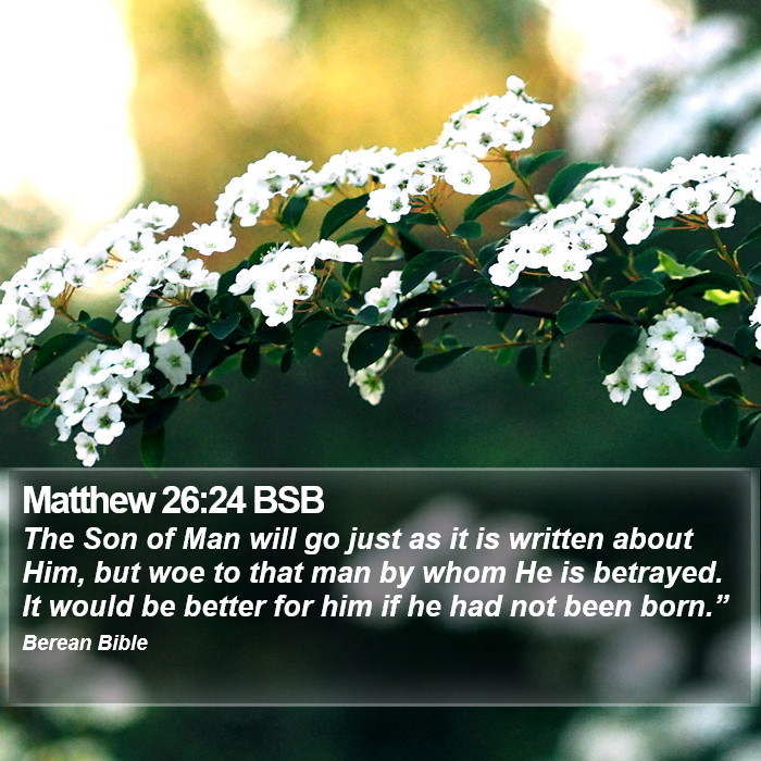 Matthew 26:24 BSB Bible Study